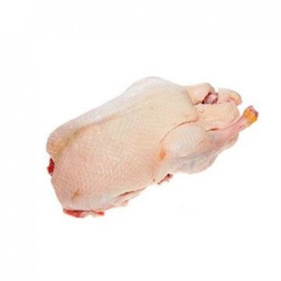 Whole Duck